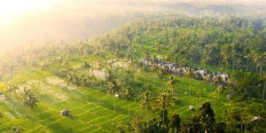 Hero - Stanagiri Luxury Retreat Ubud