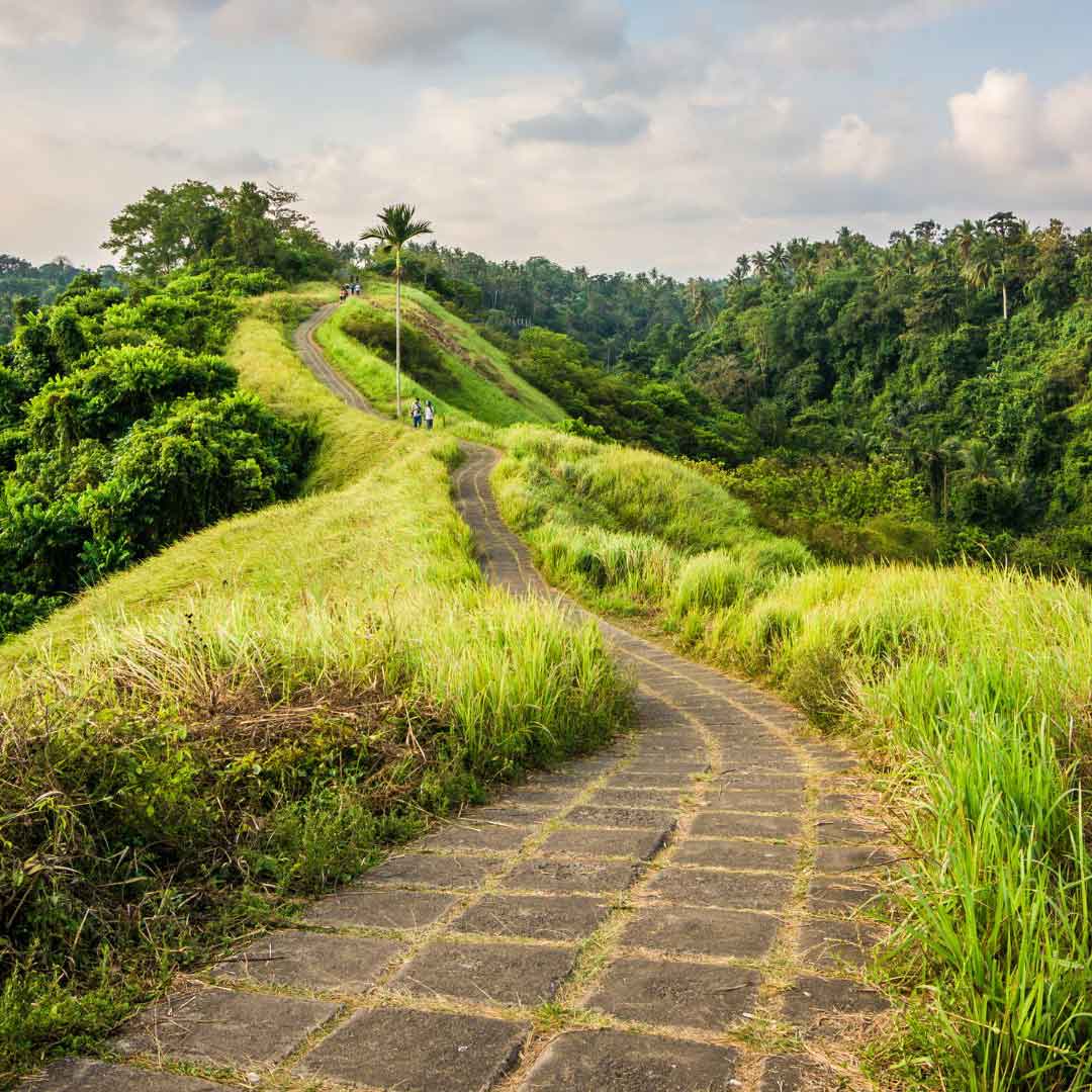 Stanagiri Villas Ubud