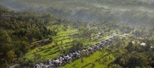 Stanagiri Luxury Retreat Ubud - Aerial View